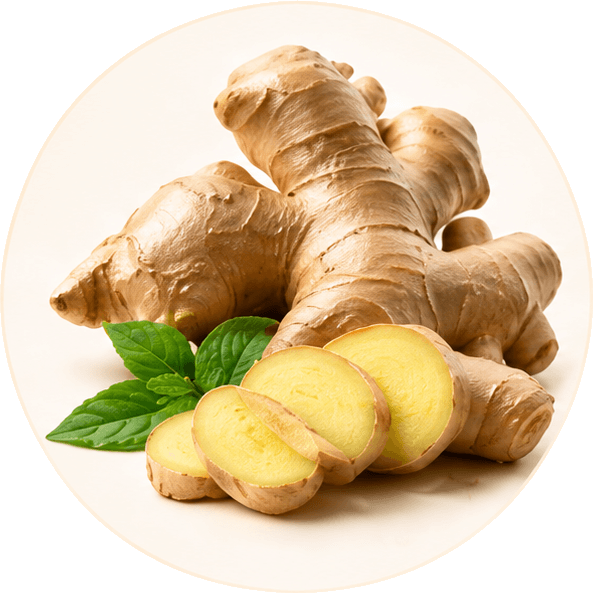 Ginger