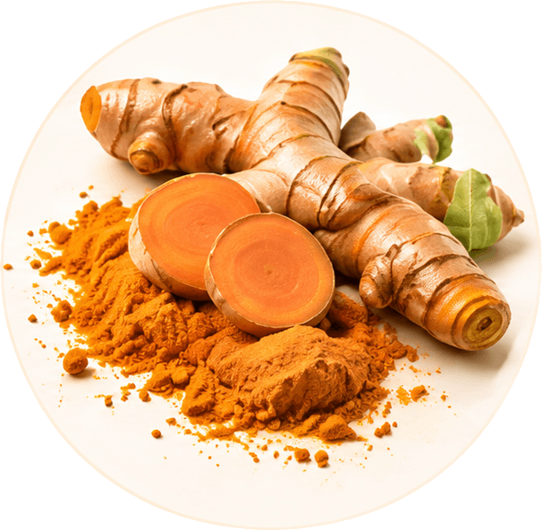 Turmeric
